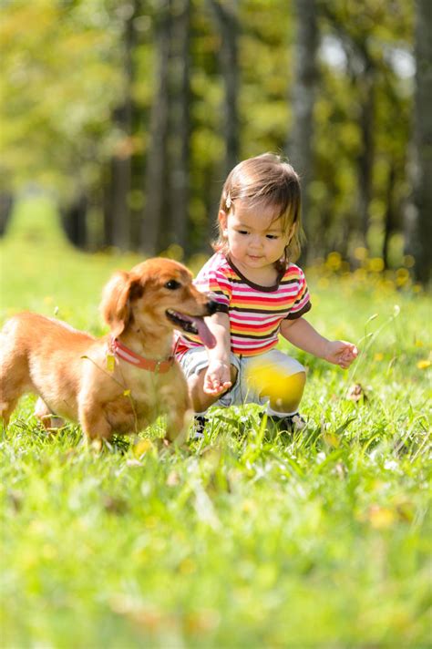 vaikas ir šuo žaidžia lauke
