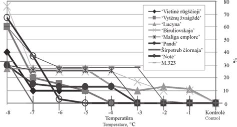 Diagrama, rodanti alyvmedžio žiedo anatomiją ir vaisių užuomazgos vystymosi stadijas