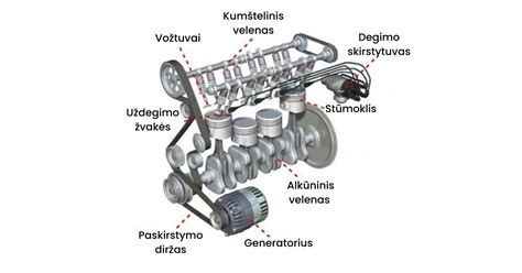 Schema, kaip veikia skubiosios kontracepcijos tabletė
