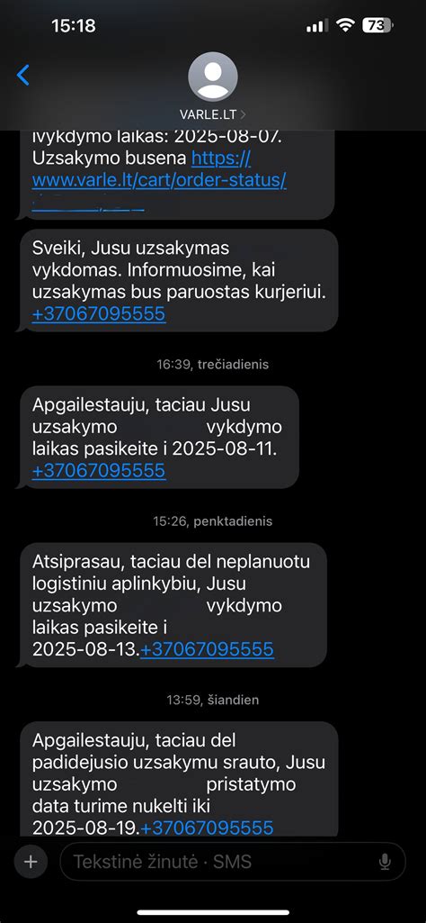 Internetinės parduotuvės pristatymo automobilis