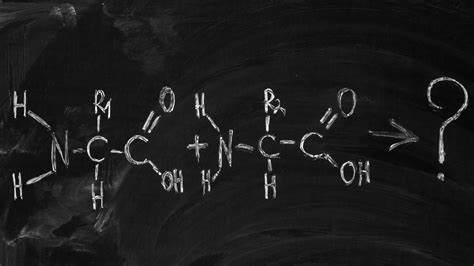 Peptidų struktūra ir aminorūgštys