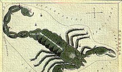 Skorpionas, valgantis grobį