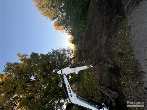 Mini ekskavatoriaus su hidrauliniu sraigtu pavyzdys