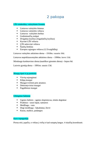 Placenta su papildomu skilte, jungiamu kraujagyslių tinklu