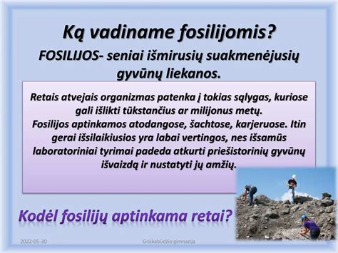 Fosilijos įspaudas ir gipsas