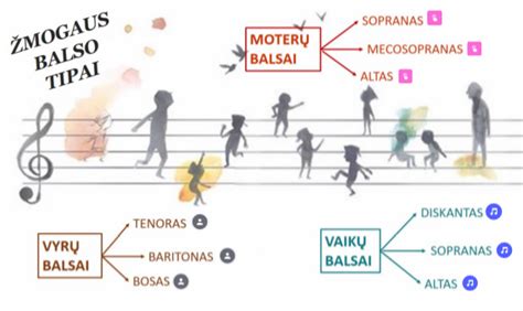 Žmogaus balso stygų iliustracija