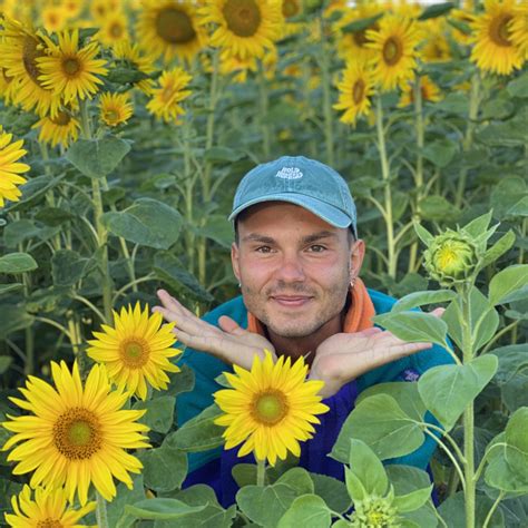 Stuko puošybos detalių iliustracija