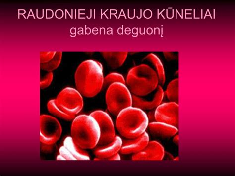 raudonieji kraujo kūneliai nešantys deguonį