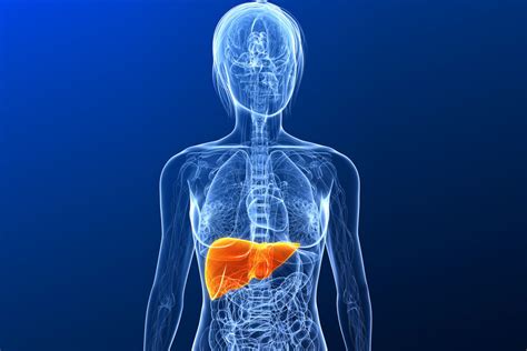 Tulies pūslė ir kepenys