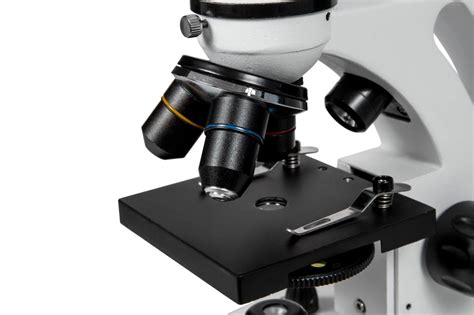 Mikroskopas su embrionais