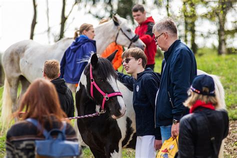 Jauni raiteliai su poniais varžybose
