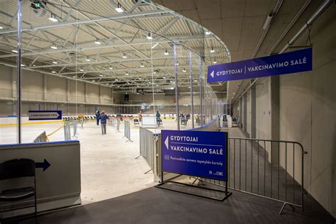 Vakcinavimo procesas