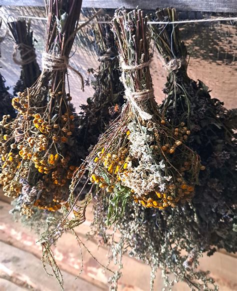 Įvairūs džiovinti produktai ant padėklų