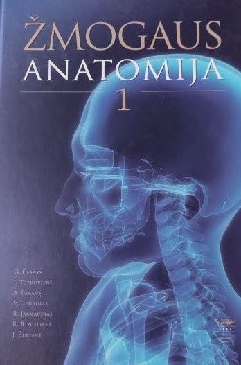 žmogaus inkstų anatomija