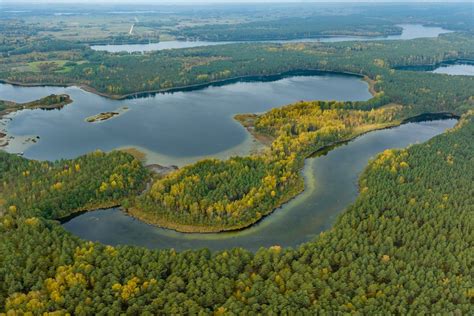 Atogrąžų miškas su upe