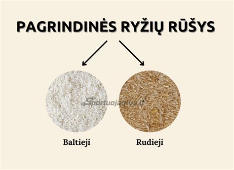 Įvairios ryžių rūšys