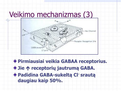 Veikimo mechanizmas H2 blokatorių