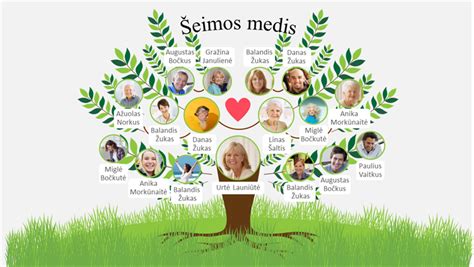 šeimos medis su donuotomis kiaušialąstėmis