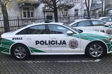 Policijos palyda automobiliui