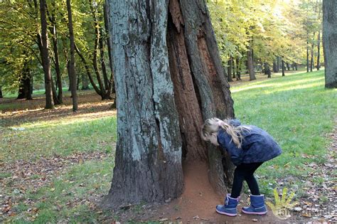 Vaikai, ieškantys lobio gamtoje