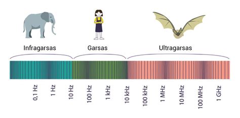 Infografika, rodanti ultragarsinio gelio svarbą garso bangų perdavimui