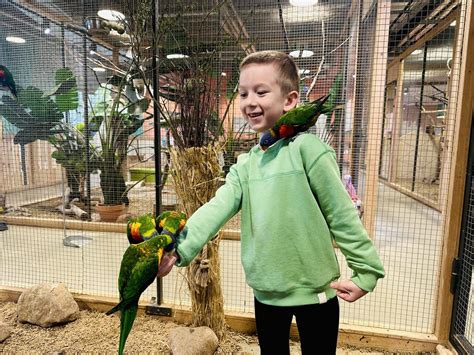 LEGO karuselė su gyvūnais