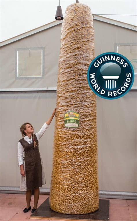 Druskininkų šakotis