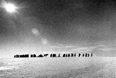 Trijų identiškų brolių, atskirtų nuo gimimo, nuotrauka