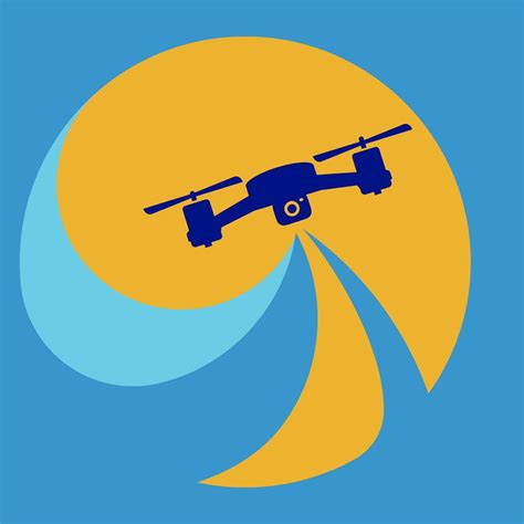 Schematinis DNR vaizdas