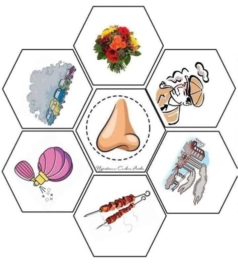 nėščiosios pojūčiai