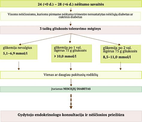 Schema: Darbuotojos teisės nėštumo metu