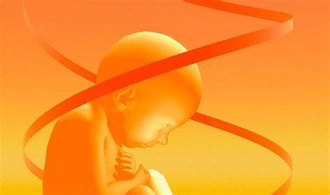 embriono perkėlimo procedūra