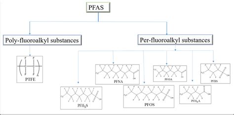 PFAS molekulės struktūra