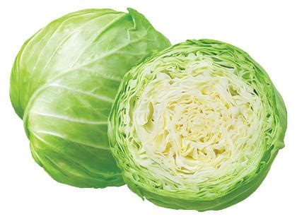 švieži baltagūžiai kopūstai