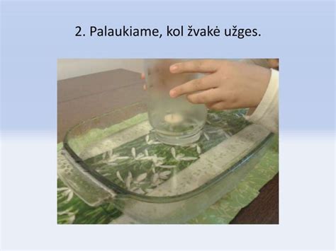 Žmogus, gerianti tabletę su vandeniu