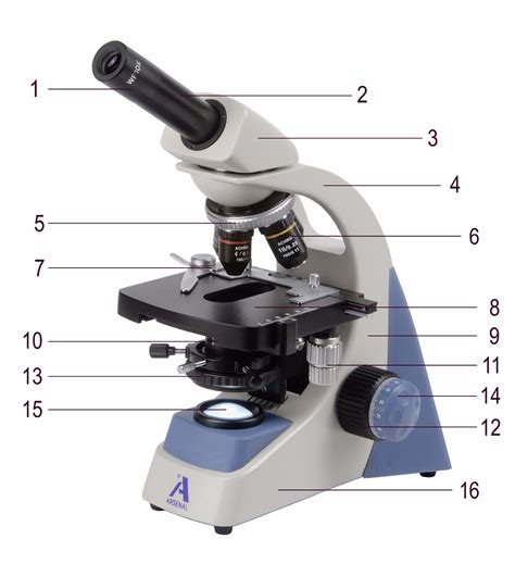 Mikroskopo objektyvas su 