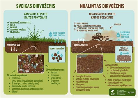Sveiko ir sergančio vėžlio akių palyginimas