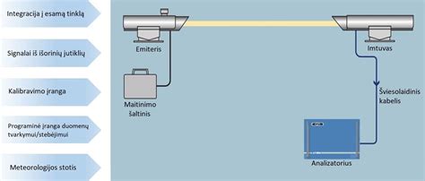 Vištos reprodukcinės sistemos schema