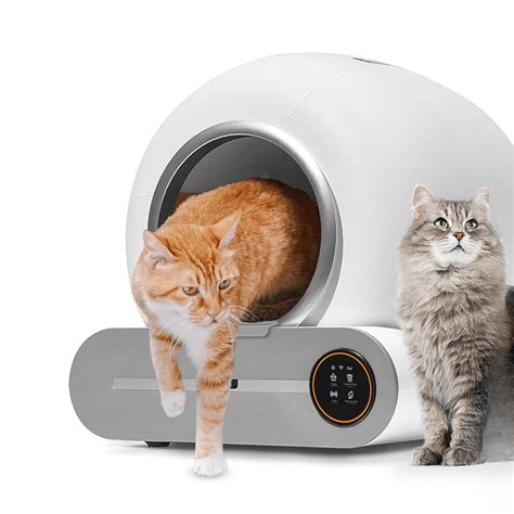 Katės išmatų dėžutė