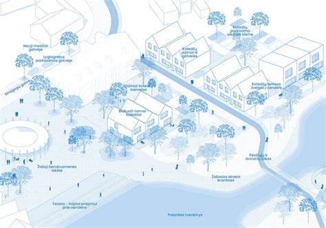 Iliustracija su skirtingų blusų rūšių palyginimu