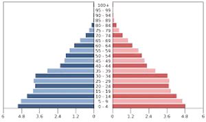 Gyventojų amžiaus piramidė