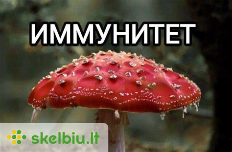 Karališkoji musmirė jaunystėje ir subrendusi