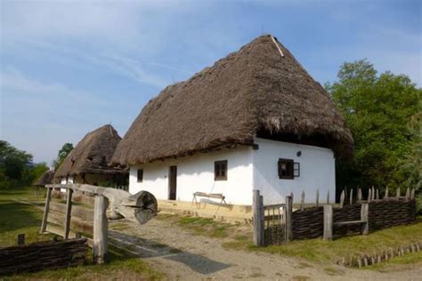 Tradiciniai blangų namai