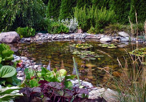 Gražus sodas su įvairiais augalais ir vandens telkiniu