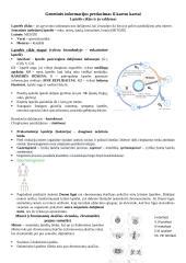 Skeletinė vyro figūra su pažymėtais genetinės informacijos šaltiniais