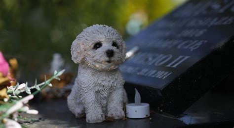 Žmonių grupė, žiūrinti į dangų su žvaigždėmis