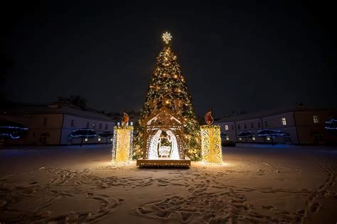 Plungės Kalėdų eglė