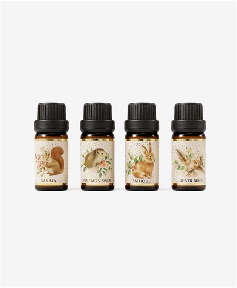 įvairių augalinių aliejų ir žolelių rinkinys