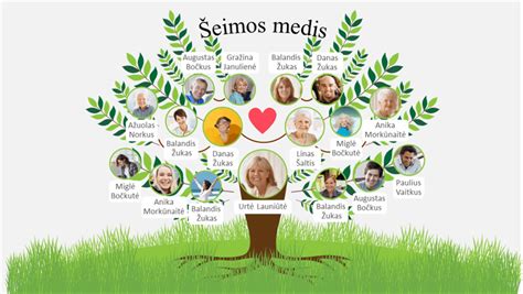 Simbolinis vaisingumo ir šeimos medis