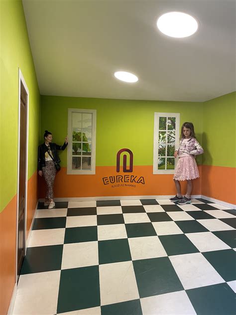 Diagrama, vaizduojanti blastocistės vidinę struktūrą: trofoblastą, vidinę ląstelių masę ir blastocelį